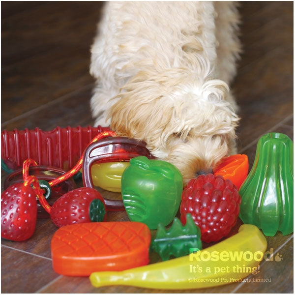 Biosafe Dog Toy