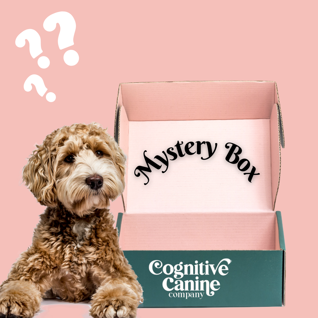 Surprise box for dogs 2025