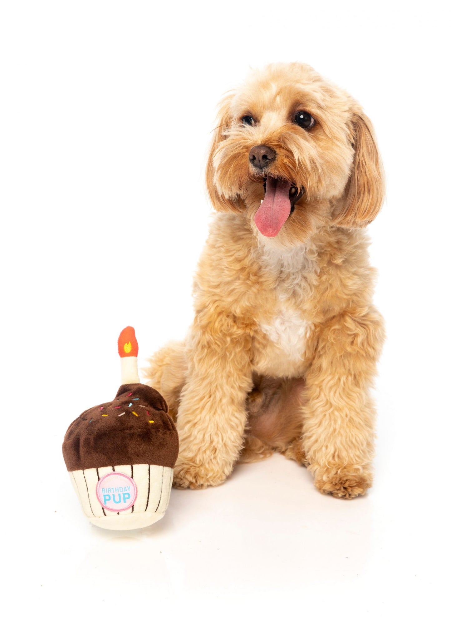FUZZYARD BIRTHDAY CUPCAKE DOG TOY