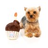 FUZZYARD BIRTHDAY CUPCAKE DOG TOY