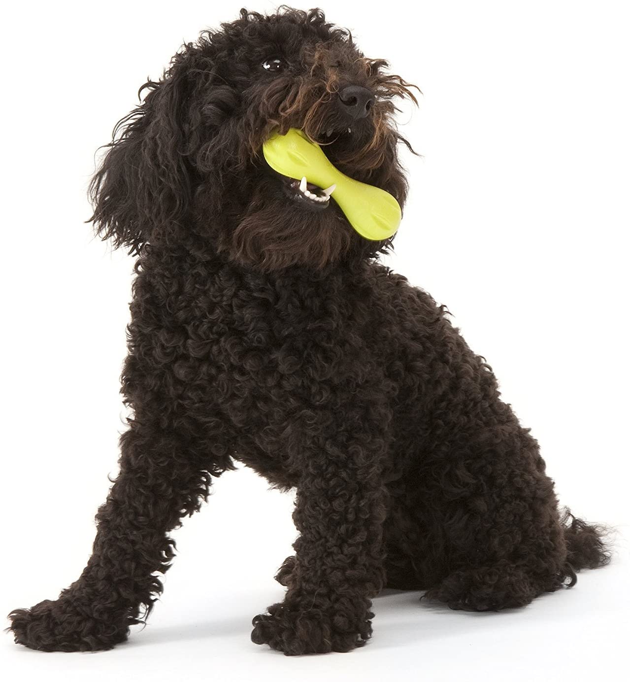 WEST PAWS HURLEY