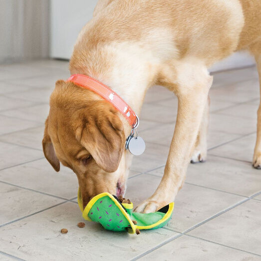 KONG Ballistic Hide N Treat Toy