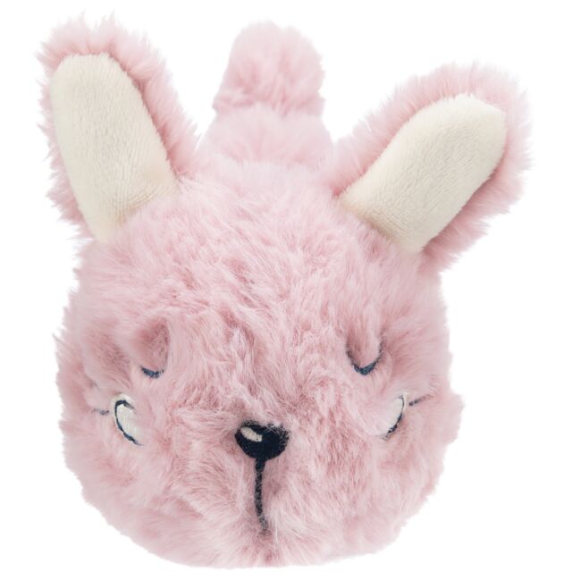 Junior Bunny
