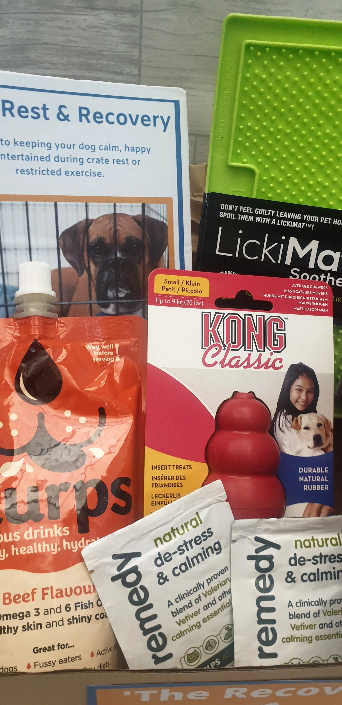 The Recovery Box for Dogs