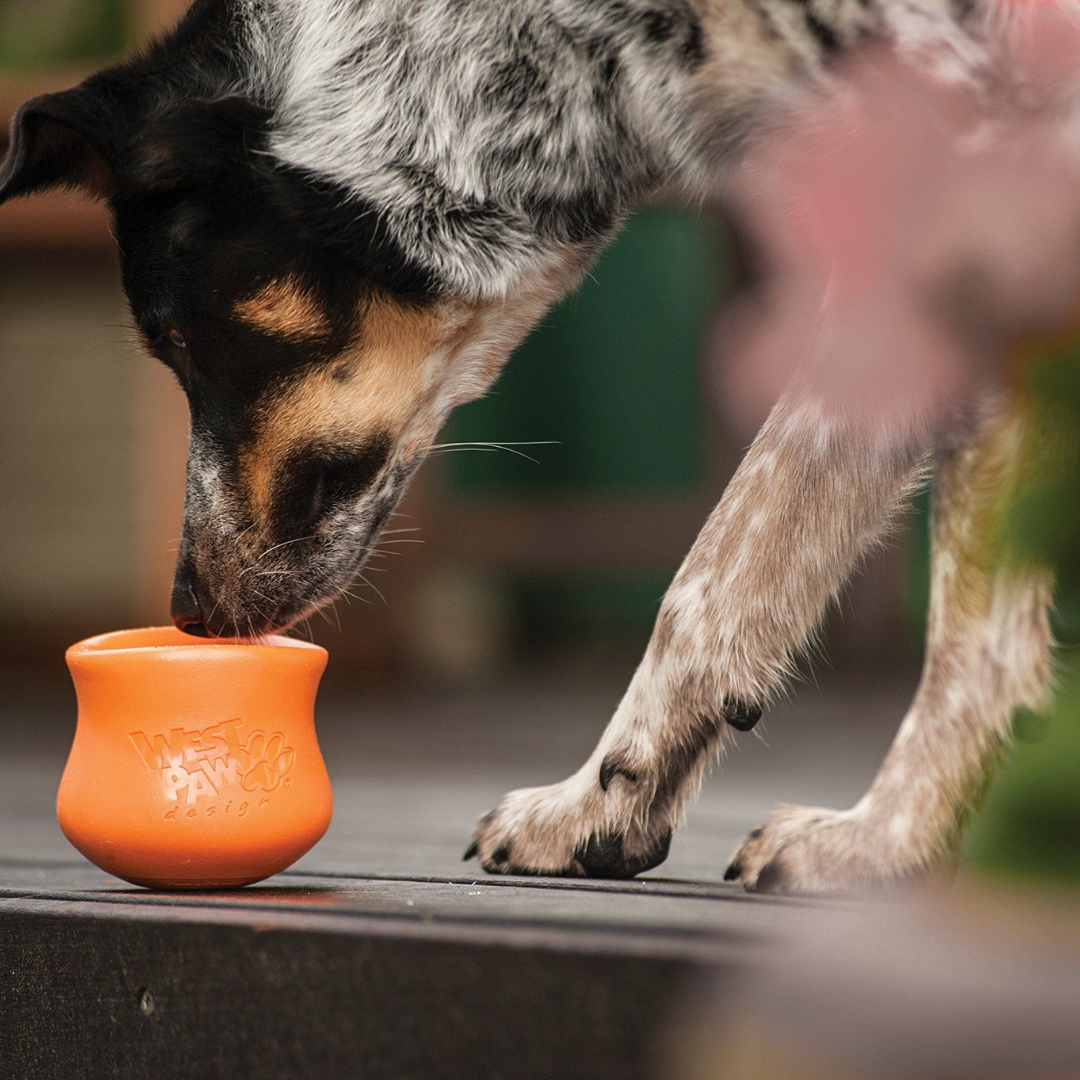 TOPPL PUZZLE DOG TOY