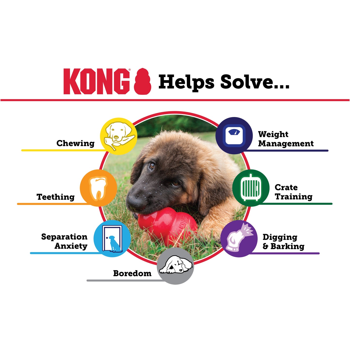 KONG classic