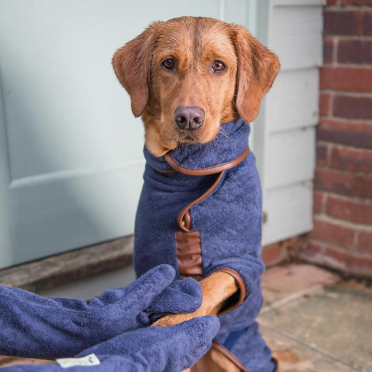 Dog Drying Mitt