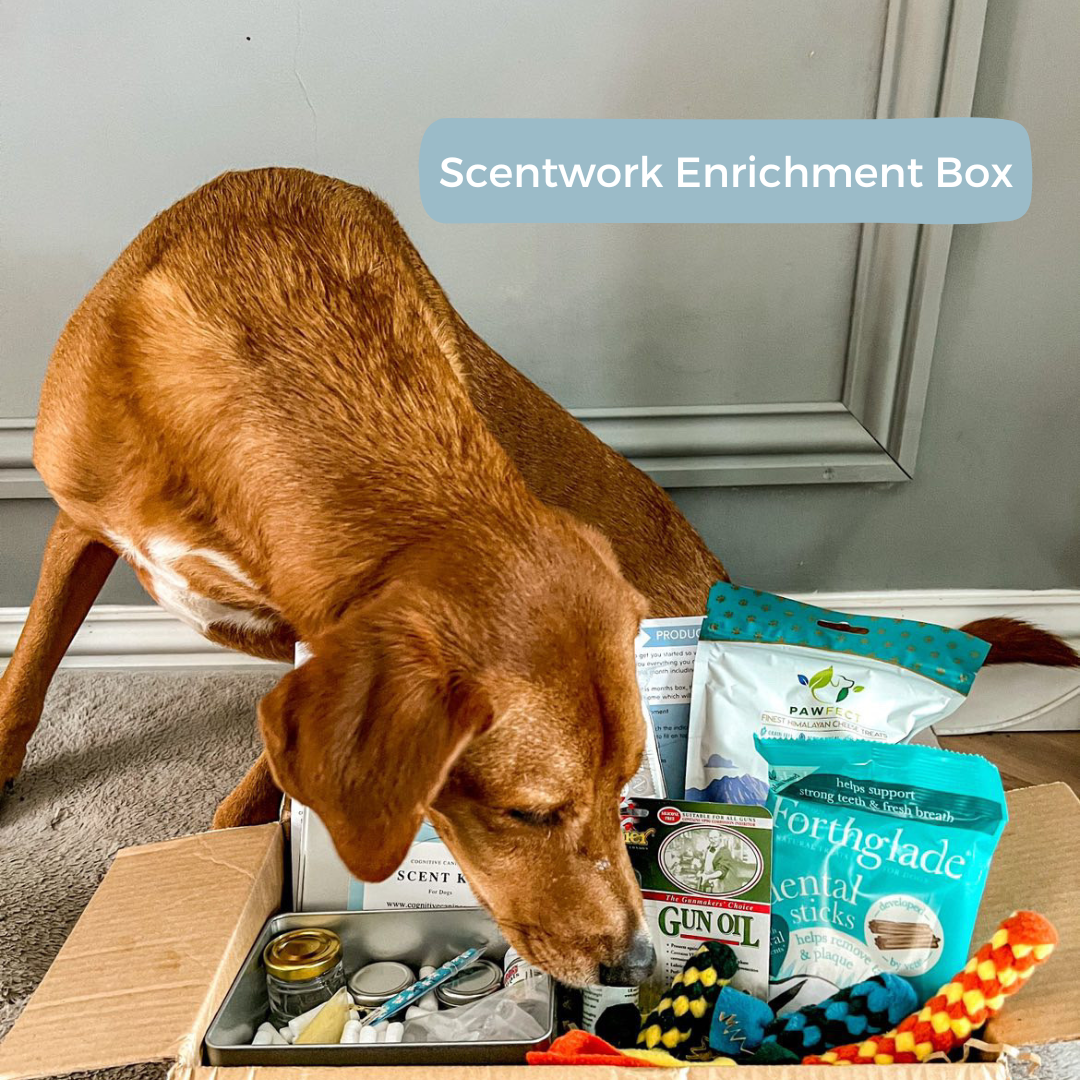 SCENTWORK SET FOR DOGS