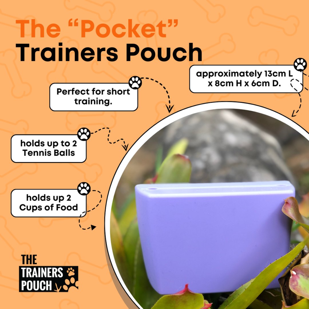 Trainers Pouch - Pocket Size