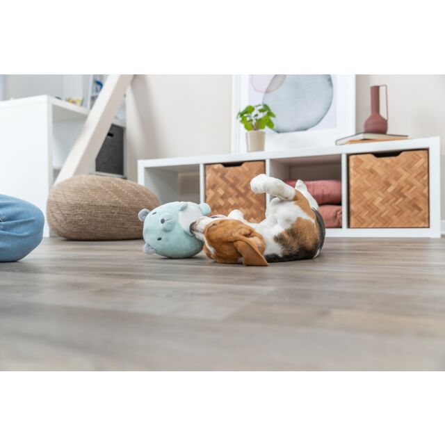 Junior Bear Plush Dog Toy