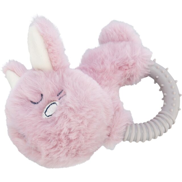 Junior Bunny
